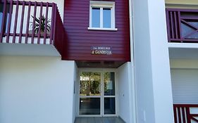 Studio Ttikia